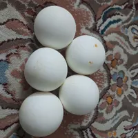 سنگ الماس آسیاب|جواهرات|اصفهان, هفتون|دیوار