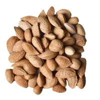 فروش بادام دیم