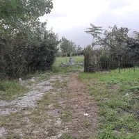 فروش زمین خوش قواره رودپشت|فروش زمین و ملک کلنگی|نشتارود, |دیوار