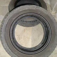 کفی و لاستیک ساینا