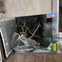 چانا همراه با آکواریم