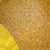دان مرغ تخمگذار