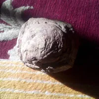 سنگ شانس|حراج|فردوس (خراسان), |دیوار