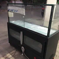 شو کیک|کافی‌شاپ و رستوران|شیراز, درکی|دیوار