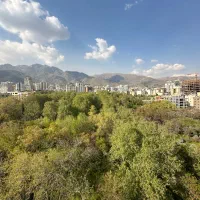 کامرانیه شمالی/۲۸۰ متر/۳پارکینگ/Lux/ به علت مهاجرت