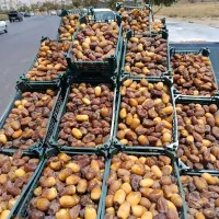رطب|خوردنی و آشامیدنی|شیراز, شهرک دارایی|دیوار