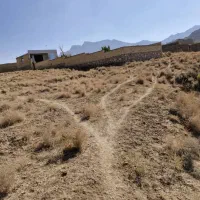 زمین سعید اباد|فروش زمین و ملک کلنگی|تفت, |دیوار