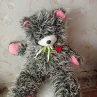 عروسک خرس خاکستری