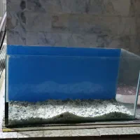 شیشه آکواریوم