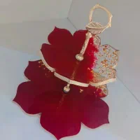 ظروف پذیرایی رزینی