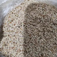 کنجد درجه یک|خوردنی و آشامیدنی|خان ببین, |دیوار