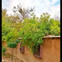 نیازمند نگهبان جهت باغ شهری