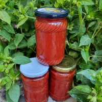 رب گوجه خانگی با گوجه فرنگی بسطام|خوردنی و آشامیدنی|بسطام, |دیوار