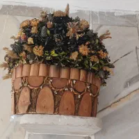 گل خشک تزینی|گل و گیاه طبیعی|اصفهان, دوطفلان|دیوار