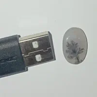 نگین شجر فوق زیبا تک درخت قائنات