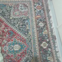 دو عدد کمد و دو عدد قالی|کتابخانه، شلف، قفسههای دیواری|برازجان, |دیوار