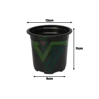گلدان ۱۲ ژله ای