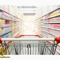 استخدام نیروی کار