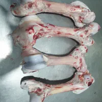 قلم گوساله تازه