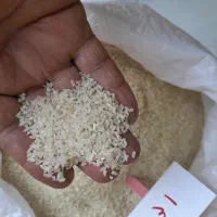 تهیه و توزیع برنج آستانه اشرفیه،هندی و پاکستانی|خوردنی و آشامیدنی|آستانه اشرفیه, |دیوار