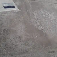 فرش ۳ و ۶ متر کاشان یکسال استفاده شده|فرش|شیراز, زرهی|دیوار