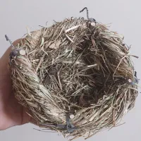 لانه سهره