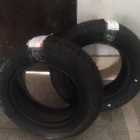 لاستیک کویر زیر نرخ دولتی تولید 2025