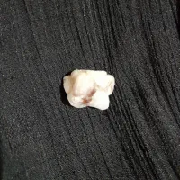 انواع سنگ|کلکسیون اشیاء عتیقه|ری, صالحآباد شرقی|دیوار