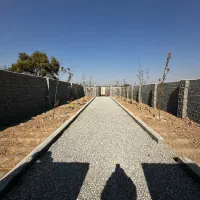 باغچه چسب بافت