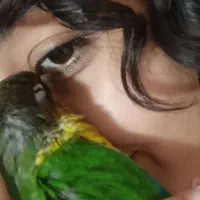 گمشده