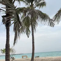 راننده هستم ۲۴ ساعت در اختیار