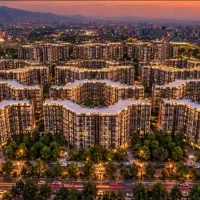 رونیکا-دردشت-کارتکس-متری-فروش-فوری