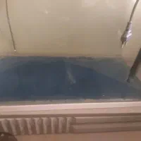 اکواریوم شرکتی|ماهی|بندرعباس, |دیوار