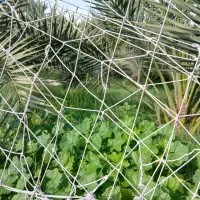 آب خونت کم نشه