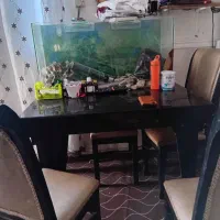 میز غذاخوری۴ حمیدیه|میز و صندلی غذاخوری|حمیدیه, |دیوار