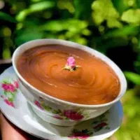 سمنو معجزه سلامتی بدن با ضمانت خالص وارگانیک