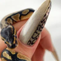 خدمات تخصصی ناخن