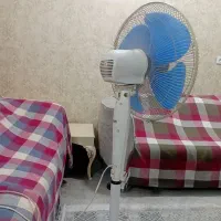 فروش پنکه در حد نو|پنکه و تصفیه‌کنندهٔ هوا|اهواز, کمپلو جنوبی|دیوار