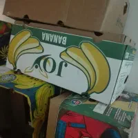 فروش کارتن  خالی موزی