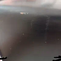 توستر|اجاق گاز و لوازم برقی پختوپز|نیشابور, شهرک فیروزه|دیوار