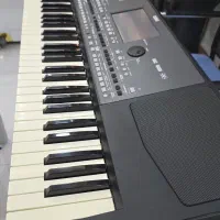 pa600 qt|پیانو، کیبورد، آکاردئون|گنبد کاووس, |دیوار