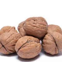 فروش گردو تازه و اعلا
