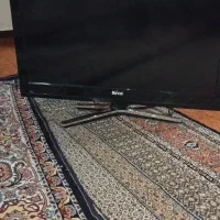 تلوزیون