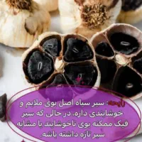 سیر سیاه یاطلای سیاه|خوردنی و آشامیدنی|تهران, دروازه شمیران|دیوار