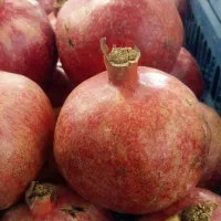 اثطوایی|خوردنی و آشامیدنی|کاشان, میدان کهنه|دیوار