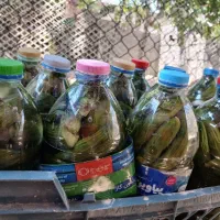 خیارشور