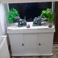 آکواریوم دلسا