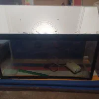 اکواریوم و لوازم همراه