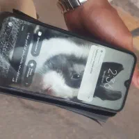 نت 8 سالم