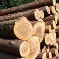 خرید انواع چوب تر و تیرسقف پشت بام